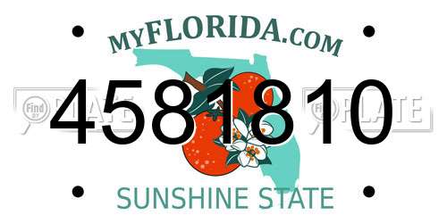 4581810 Florida License Plate