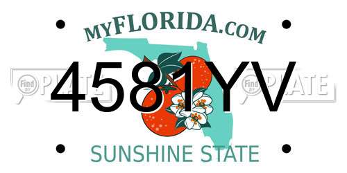 4581YV Florida License Plate
