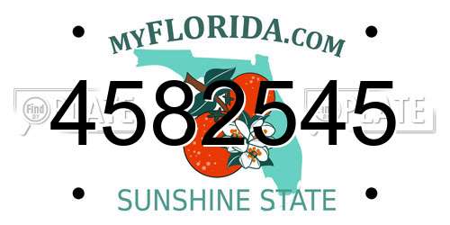 4582545 Florida License Plate