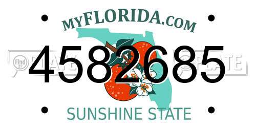 4582685 Florida License Plate