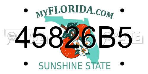 45826B5 Florida License Plate