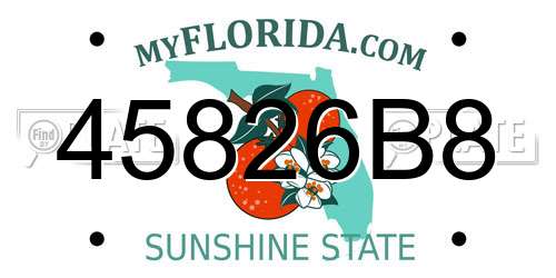 45826B8 Florida License Plate