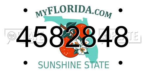 4582848 Florida License Plate