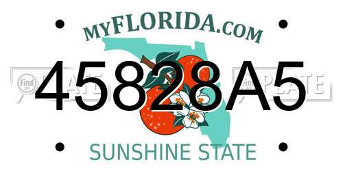 45828A5 Florida License Plate