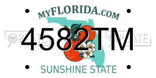 4582TM Florida License Plate