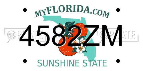 4582ZM Florida License Plate
