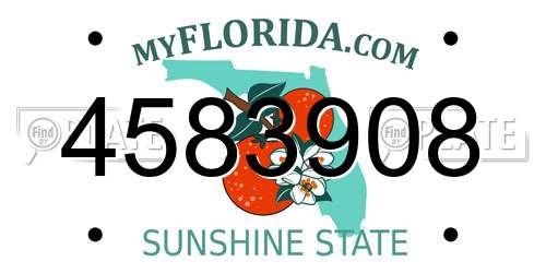 4583908 Florida License Plate