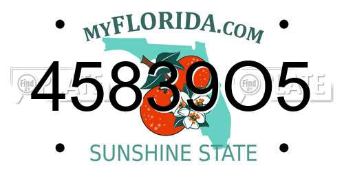 45839O5 Florida License Plate