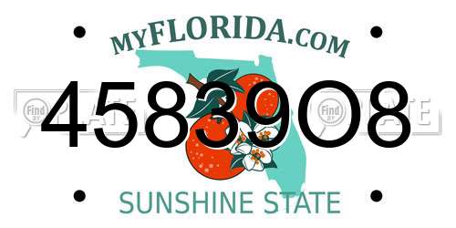 45839O8 Florida License Plate