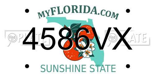 4586VX Florida License Plate
