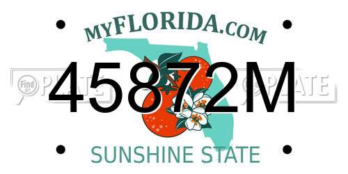 45872M Florida License Plate