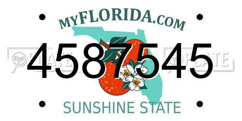 4587545 Florida License Plate
