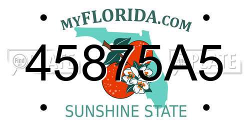 45875A5 Florida License Plate