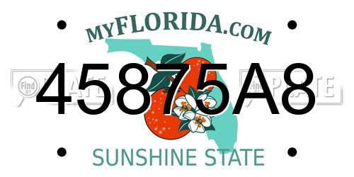 45875A8 Florida License Plate