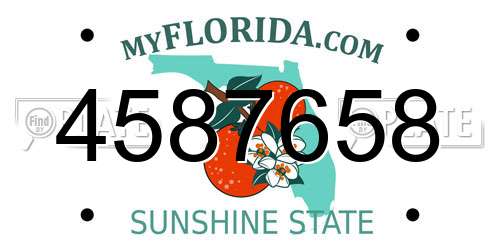 4587658 Florida License Plate