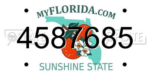 4587685 Florida License Plate