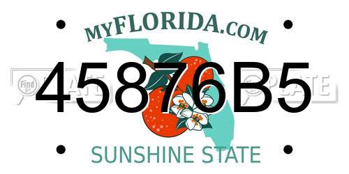45876B5 Florida License Plate