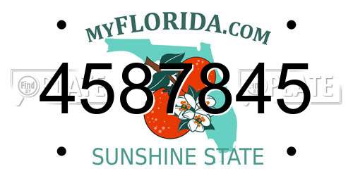 4587845 Florida License Plate