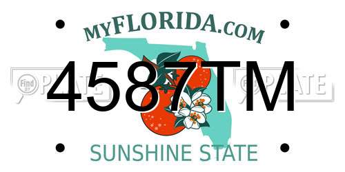 4587TM Florida License Plate