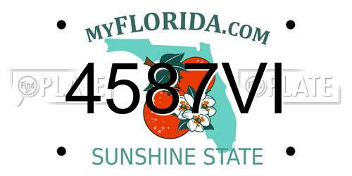 4587VI Florida License Plate