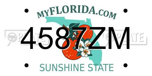 4587ZM Florida License Plate