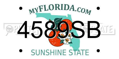 4589SB Florida License Plate