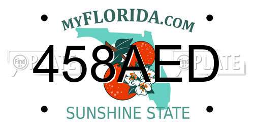 458AED Florida License Plate