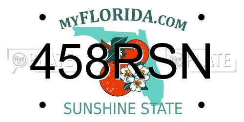 458RSN Florida License Plate