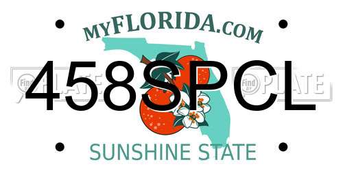 458SPCL Florida License Plate