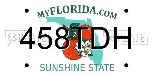 458TDH Florida License Plate