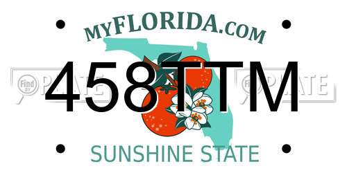 458TTM Florida License Plate
