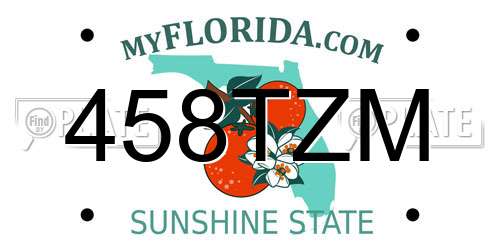 458TZM Florida License Plate