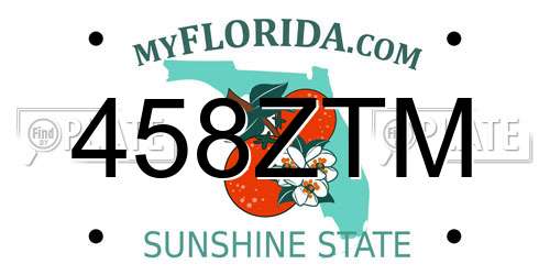 458ZTM Florida License Plate