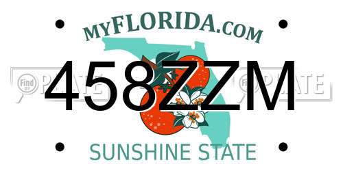 458ZZM Florida License Plate