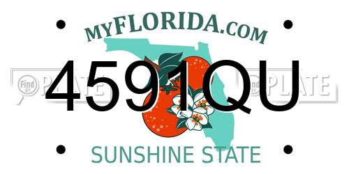 4591QU Florida License Plate