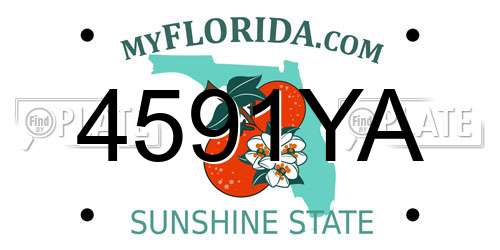 4591YA Florida License Plate