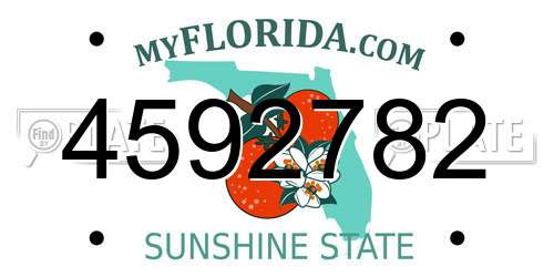4592782 Florida License Plate