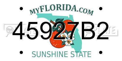 45927B2 Florida License Plate