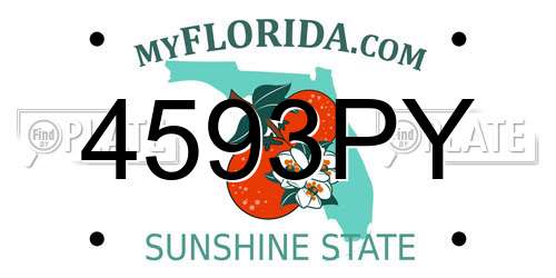 4593PY Florida License Plate