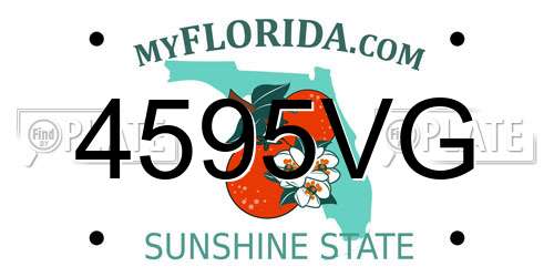 4595VG Florida License Plate