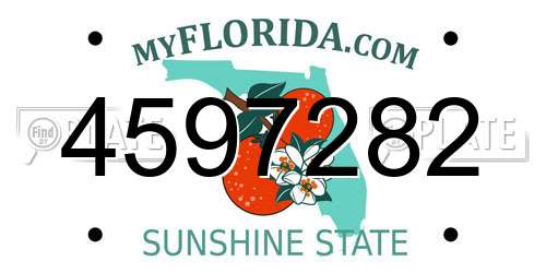 4597282 Florida License Plate