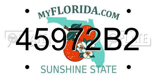 45972B2 Florida License Plate