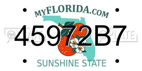 45972B7 Florida License Plate