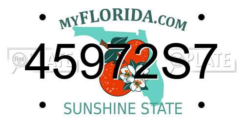 45972S7 Florida License Plate