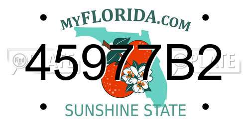 45977B2 Florida License Plate