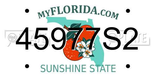 45977S2 Florida License Plate