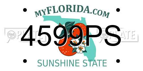 4599PS Florida License Plate