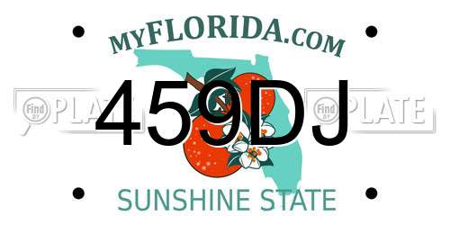 459DJ Florida License Plate