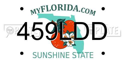 459LDD Florida License Plate