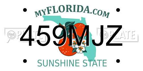 459MJZ Florida License Plate